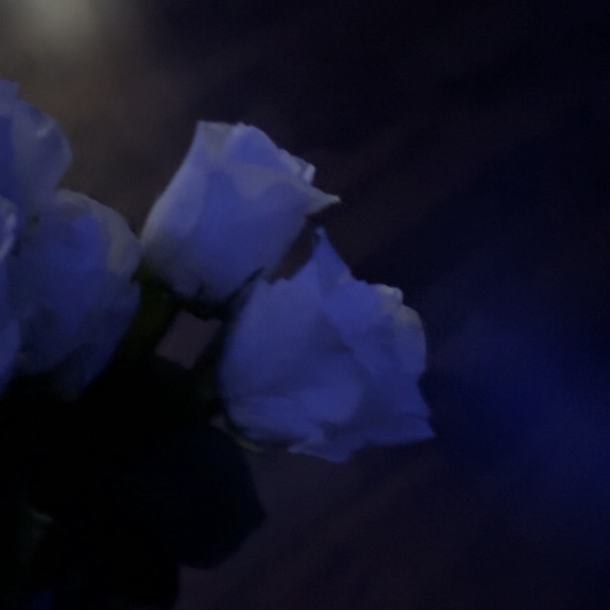 Rosen